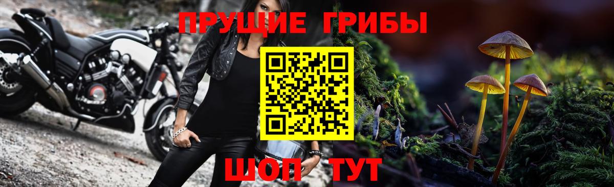 Галлюциногенные грибы Magic Shrooms  Вход с VPN  Алушта  Галлюциногенные грибы GOLDEN TEACHER 